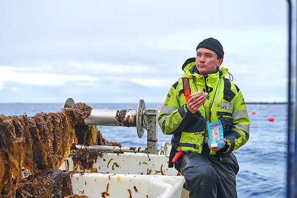 Algae farm in Norway - from regenerative raw material to delicious product –© BettaF!sh Algae farm in Norway - from regenerative raw material to delicious product –© BettaF!sh