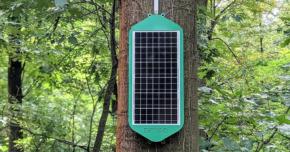 The zero-lithium solar detector can connect to its network even in areas with no internet The sensors connect to the solar-powered mesh networking infrastructure of other sensors which connects to a cloud platform