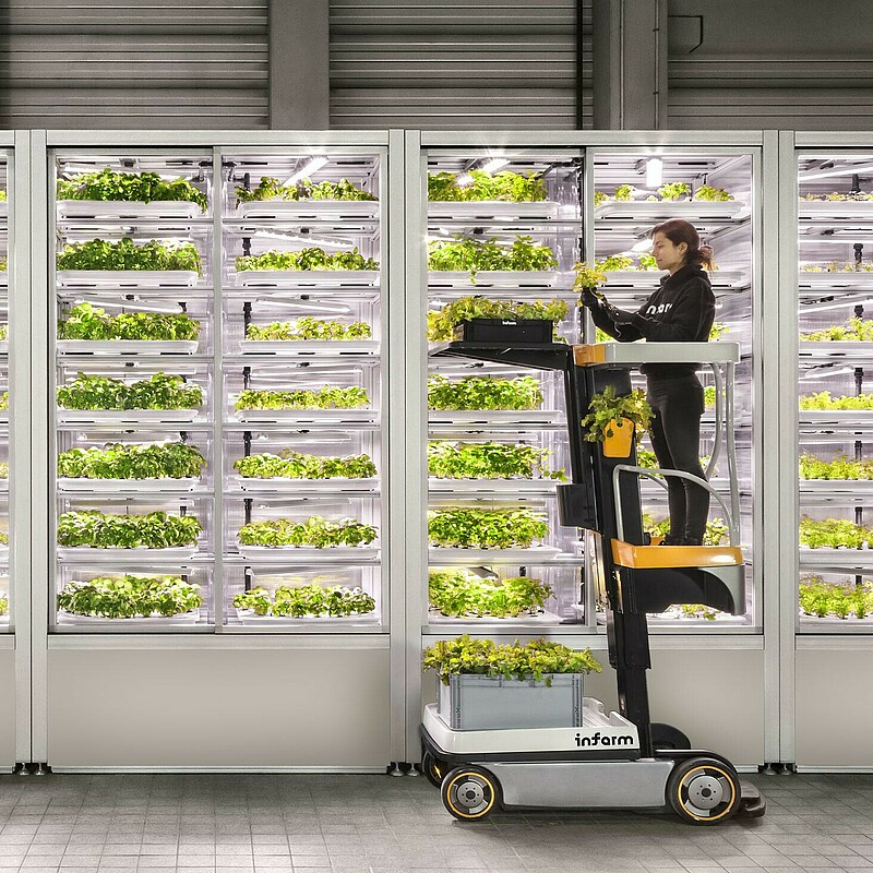 INFARM © DIEPHOTODESIGNER.DE